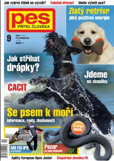 Pes přítel člověka 9/2013