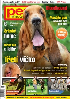Pes přítel člověka 6/2013