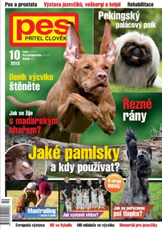 Pes přítel člověka 10/2013
