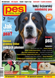 Pes přítel člověka 7/2013