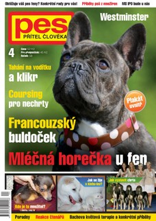 Pes přítel člověka 4/2013