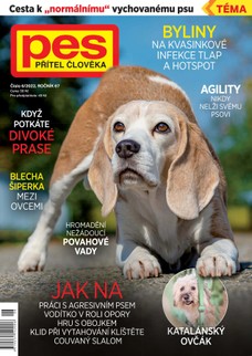 Pes přítel člověka 6/2022