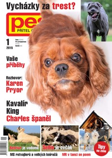 Pes přítel člověka 1/2015