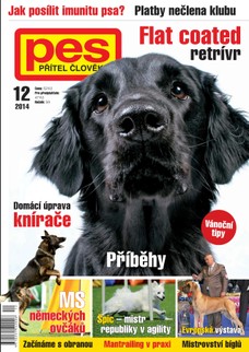 Pes přítel člověka 12/2014