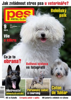 Pes přítel člověka 9/2014