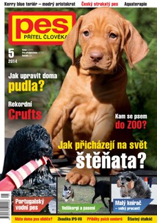 Pes přítel člověka 5/2014