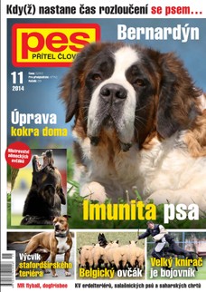 Pes přítel člověka 11/2014