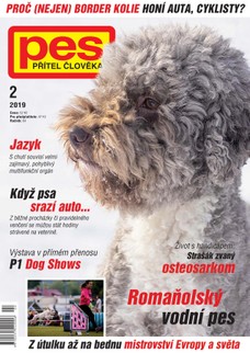 Pes přítel člověka 2/2019