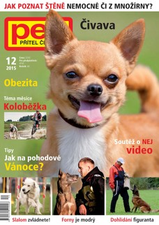 Pes přítel člověka 12/2015