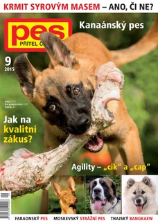 Pes přítel člověka 9/2015