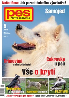 Pes přítel člověka 5/2015
