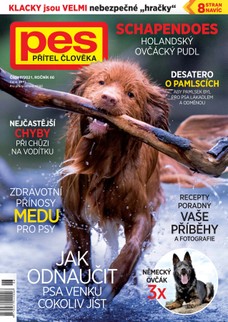 Pes přítel člověka 6/2021