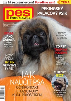 Pes přítel člověka 10/2021