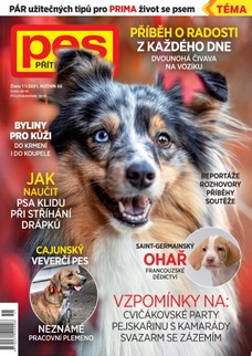 Pes přítel člověka 11/2021