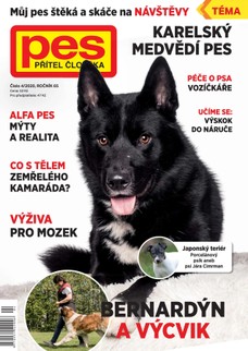 Pes přítel člověka 4/2020