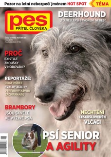 Pes přítel člověka 8/2020