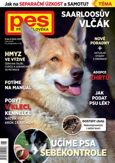Pes přítel člověka 6/2020