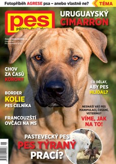 Pes přítel člověka 5/2020