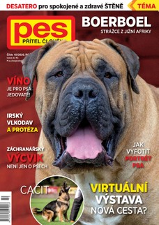 Pes přítel člověka 10/2020