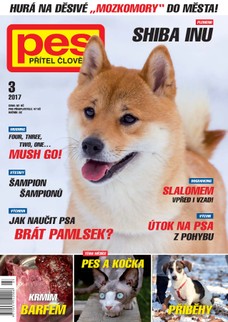 Pes přítel člověka 3/2017