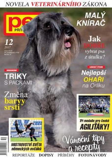 Pes přítel člověka 12/2017