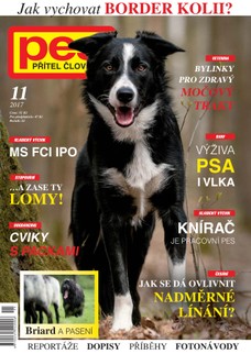 Pes přítel člověka 11/2017