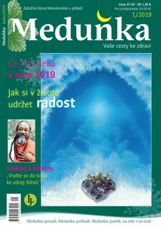 Meduňka 1/2019