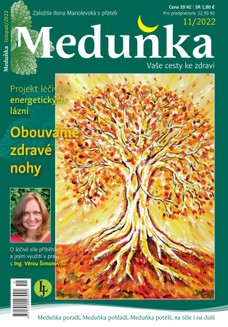 Meduňka 11/2022