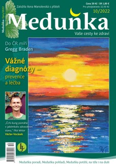 Meduňka 10/2022
