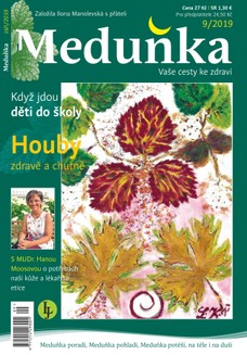 Meduňka 9/2019