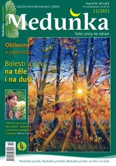 Meduňka 11/2021