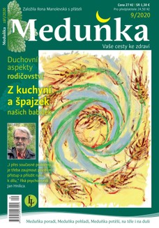 Meduňka 9/2020