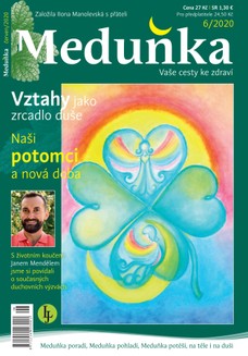 Meduňka 6/2020