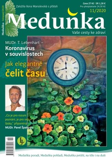 Meduňka 11/2020