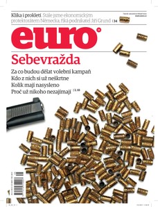 EURO 35/2013