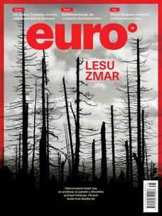 EURO 38/2019