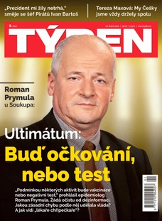 Týden 1/2021