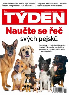 Týden 7/2021