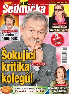 Sedmička 45/2020