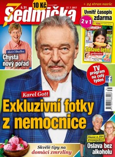 Sedmička 31/2017