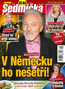 Sedmička 41/2019