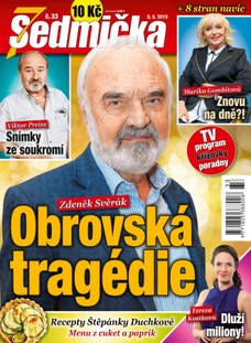 Sedmička 33/2019
