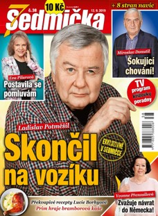 Sedmička 38/2019