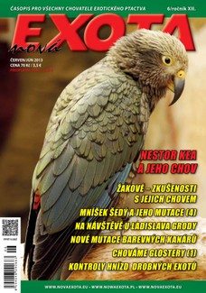 Nová EXOTA 6/2013