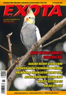 Nová EXOTA 11/2014