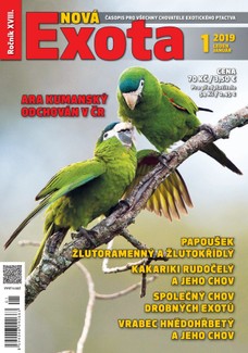 Nová EXOTA 1/2019