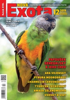 Nová EXOTA 12/2019