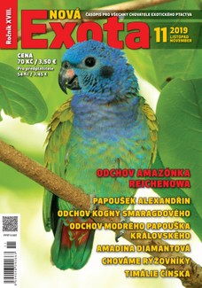 Nová EXOTA 11/2019