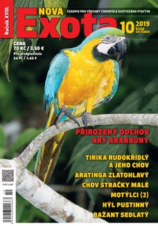 Nová EXOTA 10/2019