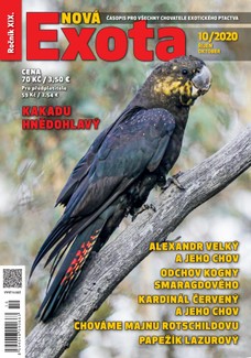 Nová EXOTA 10/2020